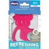 rinazina Chicco massaggia inox girl 4m+