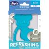Chicco Massaggiagengive Koala Inox Azzurro 4M+ 1 pezzo