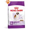 Royal Canin SHN Dog Giant Adult - Sacco Da 15 Kg