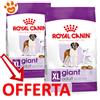 Royal Canin SHN Dog Giant Adult - Offerta [PREZZO A CONFEZIONE] Quantità Minima 2, Sacco Da 15 Kg