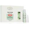 Alfaparf Milano Il Salone Milano Scalp System 6x13 ml
