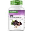 vit4ever OPC Estratto di semi d'uva - 300 capsule - 1000 mg di estratto con 700 mg di OPC - Massimo tenore secondo HPLC - Da uve europee - Vegano - Ad alto dosaggio