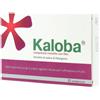 DR.WILLMAR SCHWABE GmbH&CO.KG Kaloba - 21 compresse