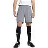 PUMA teamFINAL Training Shorts - Pantaloncini in Maglia Adulti Unisex, Cast Iron-PUMA Silver, 658566