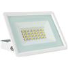 Faro LED 30W IK07 IP65 Bianco Colore Bianco Caldo 3.000K