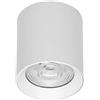 Applique da soffitto 20W Bianca CCT Bianco Variabile Angolo 24°/38° Bridgelux LED