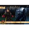 STAR ACE TOYS Harry Potter: Dementor + Harry Potter 1:8 2 Pck