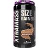 ANDERSON RESEARCH Xtra Mass Size Gainer 1,1 kg - Vaniglia