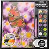 DIAMANTINY Level Up - Nice Group Creative Art, Diamond Painting Kit crea il mosaico, WILD, Farfalla