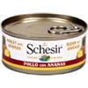 Schesir for dog with fruit (pollo e ananas) - 18 lattine da 150gr.
