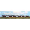 ACME 45130 Set 3 carri Sa a 6 assi ITALSIDER S.p.A. per trasporto coils,grigio