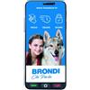 Brondi Smartphone 5.7'' Brondi Amico S+ 4G 2GB/16GB/Nero