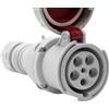 Brennenstuhl Presa Elettrica Industriale CEE a 5 Poli per Uso Esterno, Brennenstuhl, Presa CEE 400V/63A con Coperchio, Connessione Avvitabile, Utilizzo all'Aperto, Cantieri, Industria, Campeggio, IP67, 63A
