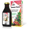 NEW ENTRIES Salus Immuno Protect 250ml