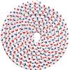 cyclingcolors Fune di AVVIAMENTO Ø2.5MM 3MM 3.5MM 4MM 4.5MM 5MM 6MM Lunghezza 2M Nylon Cavo Corda Tosaerba (Ø5.0mm)
