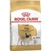 Royal Canin Dog Adult e Senior Carlino 1,5