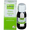 Boiron Ribes Nigrum Gemme Macerato Glicerico 60 ml