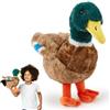 Zappi Co Peluche di Anatra Germano (30cm) - Luminosa, Morbida Anatra, Eco-Friendly, Ideale per il Gioco Immaginativo dei Bambini al Laghetto, Realizzato con Materiale 100% Riciclato