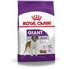 Royal Canin Giant Adult Crocchette Per Cani Adulti 18mesi+ Taglia Gigante Sacco 15kg
