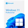 Microsoft Windows 11 Professional 64 BIT OEM | Windows