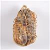 Fiocchetto di Prosciutto in Vescica - Intero - 1,8kg