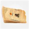 Punta - Parmigiano Reggiano D.O.P. - 24 mesi (1kg)