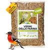 EWL Naturprodukte Vermi della Farina essiccati 1,2 kg (7,8 L), Snack a base di Insetti per Uccelli, Pesci, Tartarughe, Roditori e Rettili