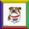Riolis Kreuzstich-Set Englische Bulldogge, Zählmuster Kit Punto Croce con Bulldog Inglese, Cotone, Multicolore, 13.0 x 13.0 x 0.1 cm