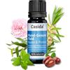 Casida - Fluido per la Cura della Bocca Repair & Protect - fluido vegetale per l'infiammazione delle gengive, parodontite, afte - la qualità delle farmacie - 10ml