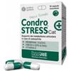 Innovet Condrostress+ Cat 30 Capsule Monodose