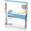 DRN Enterofilus 12 Fiale 10 ml