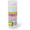 Trebifarma Ribesphyto Pasta Airless 40 gr