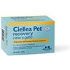 Nbf Lanes Ciellea Pet Recovery 60 perle