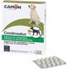 Camon Orme Naturali Condrosalus 30 Compresse