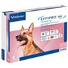 Virbac Effipro Duo Cane Spot-On 268 mg 20-40 kg 4 Pipette