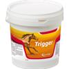 Candioli Pharma Trigger 1 kg