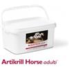 NBF Lanes Artikrill Horse Adulti 60 Buste 35 ml
