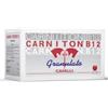 Acme Carniton B12 Granulato 20 Buste 25 gr