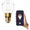 Refoss Lampadina WiFi E27, LED dimmerabile vintage, Bianco caldo, 6W (equivalente a 60W), Smart Edison A19, Compatibile con Alexa e Google Assistant, Nessun hub richiesto