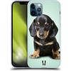 Head Case Designs Cucciolo di Bassotto Seduto Razze Famose di Cani Custodia Cover in Morbido Gel Compatibile con Apple iPhone 12 / iPhone 12 PRO