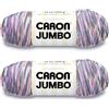 Caron Jumbo Prints, filato pasquale per cestini, confezione da 2 pezzi, 340 g, acrilico, 4 medi (pettinato), 500 m, per maglia/uncinetto