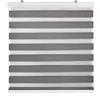 Estoralis | SANSA | Tenda a Rullo Notte e Giorno | Cassonetto in alluminio | Antracite | 105 x 255 cm (larghezza/altezza) dimensione del tessuto 102 x 250 cm. | Tende per finestre e porte