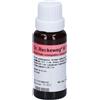 Dr. Reckeweg DR.RECKEWEG R73 Gocce 22 ml