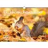 Seelenzauber K2022-3W-00003-D-0 Squirrel Magic - Calendario DIN A3 per scoiattolo 2022