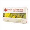 Internazionale Biolife Biolife Tribulus Terrestris Integratore Testosterone 60 Capsule Da 500 mg