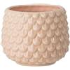Nordring Vaso Pino - per Fiori da Interno e Piante da Interno, Piante grasse, Cactus, Orchidee S (9,5 cm ø), SEL de Mer, Ceramica Gres