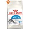 Royal Canin Cat Home Life Indoor - Sacco da 400 Gr, Any