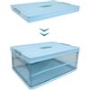 S.I.C Scatola Portaoggetti Trasparente Pieghevole,Scatole Immagazzinaggio Plastica,Organizer per Bagagliaio Auto,Armadi,Casa,Dispense,Ufficio (42x28x21cm, BLU)