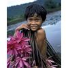 Nouvelles Images Nuove ImagesAffiche 24 x 30 cm, per Bambini, della Cambogia récoltant dei nénuphars/Cambodian Boy harvesting Water Motivo:/Kambodschanisches Kind pflückt Seerosen