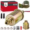 CarBole Pompa Carburante Elettrica 5-9 PSI, 8mm Ingresso e Uscita, Oro | Pompa di Benzina Universale Adatta per Diesel e Benzina, con Filtro Carburante, Filo di Rame Puro